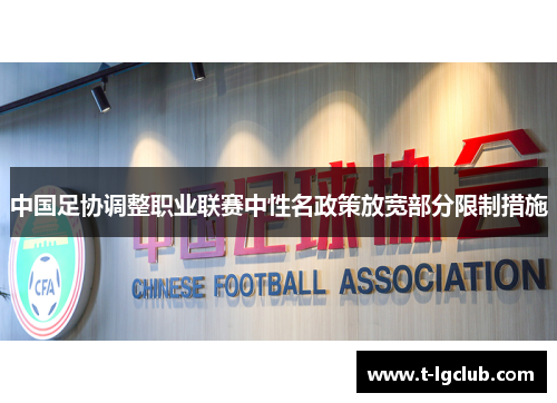 中国足协调整职业联赛中性名政策放宽部分限制措施