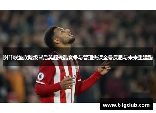 谢菲联垫底降级背后英超残酷竞争与管理失误全景反思与未来重建路